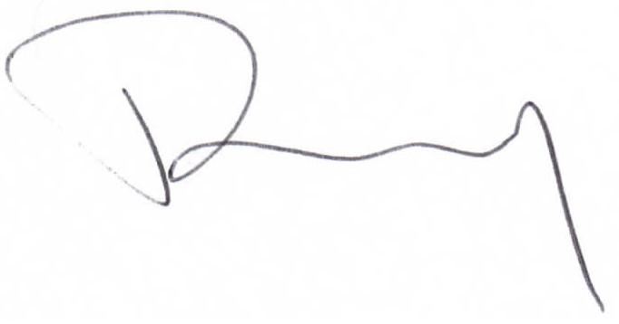 Penny Lyons signature