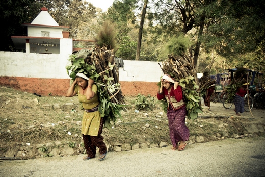 ladies carrying firewood Road to Bhairahawa Nepal